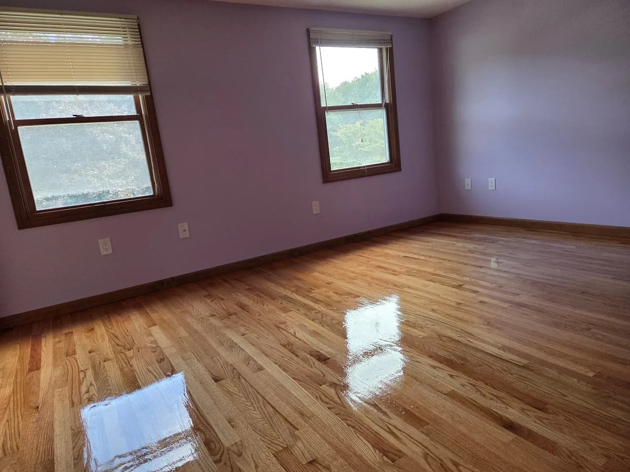 Wood strip flooring reflecting light from two windows in a lavender-walled room.
